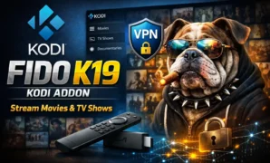 Fido K19 Kodi addon install on kodi