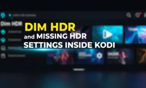 dim-hdr-and-missing-hdr-settings-inside-kodi dim hdr and missing hdr settings inside kodi