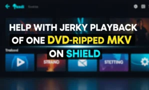 help-with-jerky-playback-of-one-dvd-ripped-mkv-on-shield help with jerky playback of one dvd ripped mkv on shield