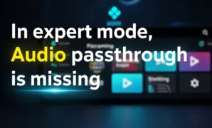 in expert mode audio passthrough is missing