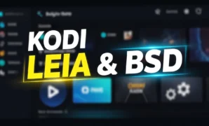 kodi leia and bsd