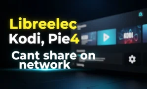 libreelec kodi pie4 cant share on network