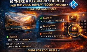 Is There a Keyboard Shortcut for the Video Display 22Zoom22 Amount