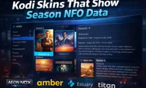 Kodi skins and season data interface