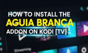 how to install the aguia branca addon on kodi tv