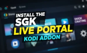 install the sgk live portal kodi addon