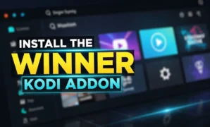install the winner kodi addon