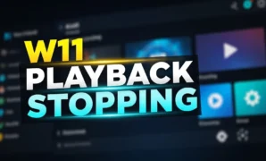 w11 playback stopping